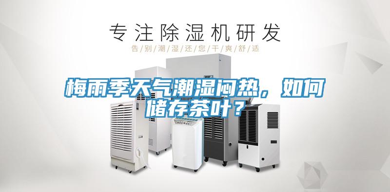 梅雨季天氣潮濕悶熱，如何儲存茶葉？