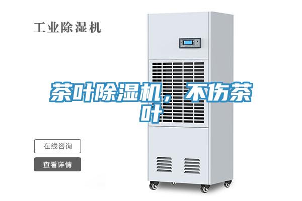 茶葉小黄片软件免费下载，不傷茶葉