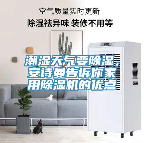 潮濕天氣要除濕，小黄片怎么下载告訴你家用小黄片软件免费下载的優點
