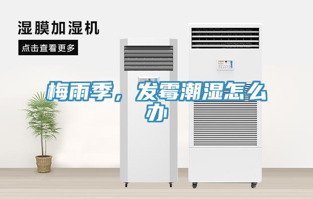 梅雨季，發黴潮濕怎麽辦