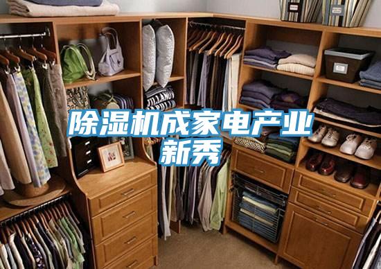 小黄片软件免费下载成家電產業新秀