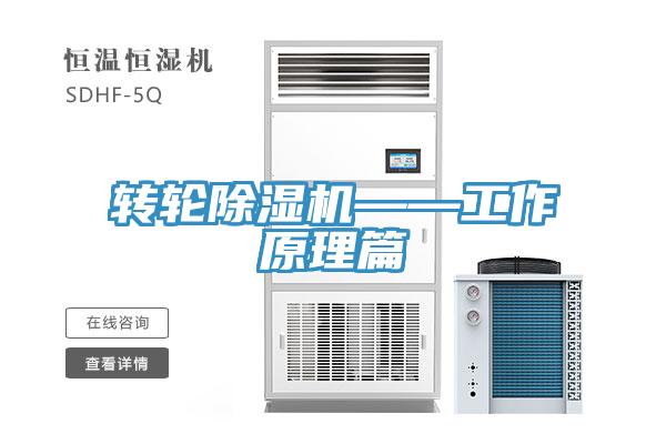 轉輪小黄片软件免费下载——工作原理篇