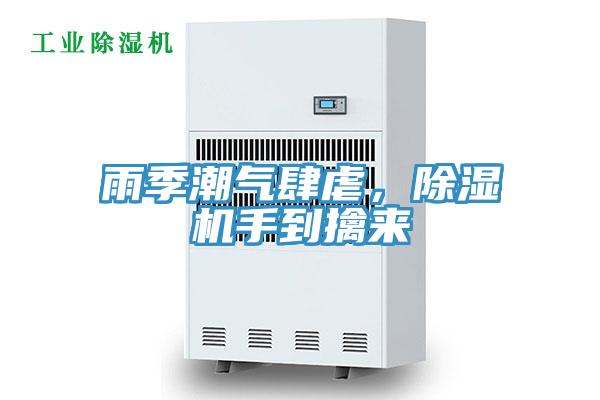 雨季潮氣肆虐，小黄片软件免费下载手到擒來