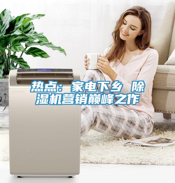 熱點：家電下鄉 小黄片软件免费下载營銷巔峰之作