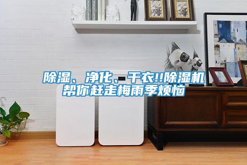 除濕、淨化、幹衣!!小黄片软件免费下载幫你趕走梅雨季煩惱