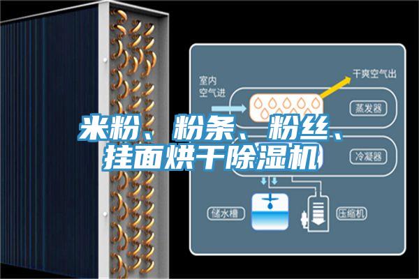 米粉、粉條、粉絲、掛麵烘幹小黄片软件免费下载