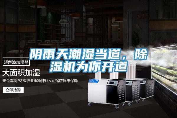 陰雨天潮濕當道，小黄片软件免费下载為你開道