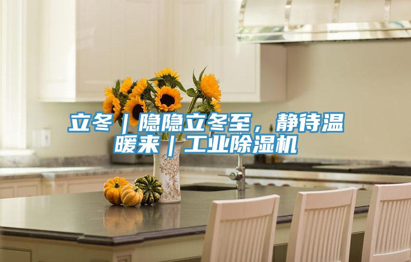立冬｜隱隱立冬至，靜待溫暖來｜工業小黄片软件免费下载