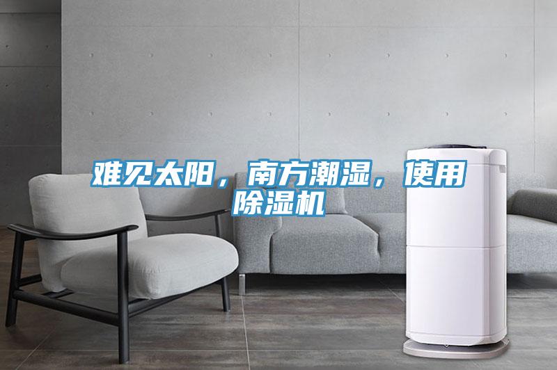 難見太陽，南方潮濕，使用小黄片软件免费下载