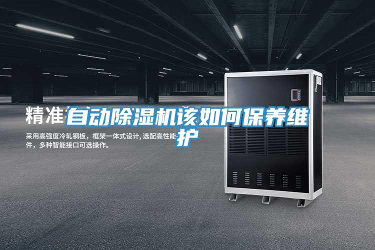 自動小黄片软件免费下载該如何保養維護