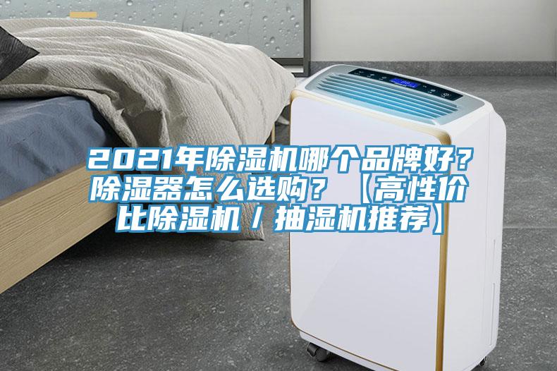 2021年小黄片软件免费下载哪個品牌好？除濕器怎麽選購？【高性價比小黄片软件免费下载／抽濕機推薦】