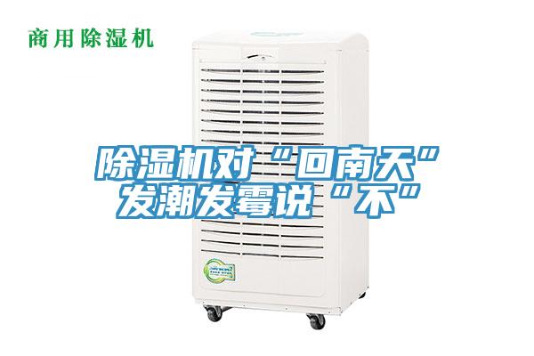 小黄片软件免费下载對“回南天”發潮發黴說“不”