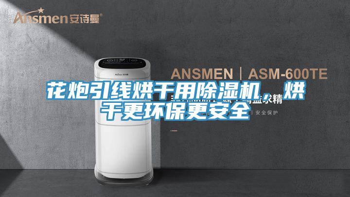花炮引線烘幹用小黄片软件免费下载，烘幹更環保更安全