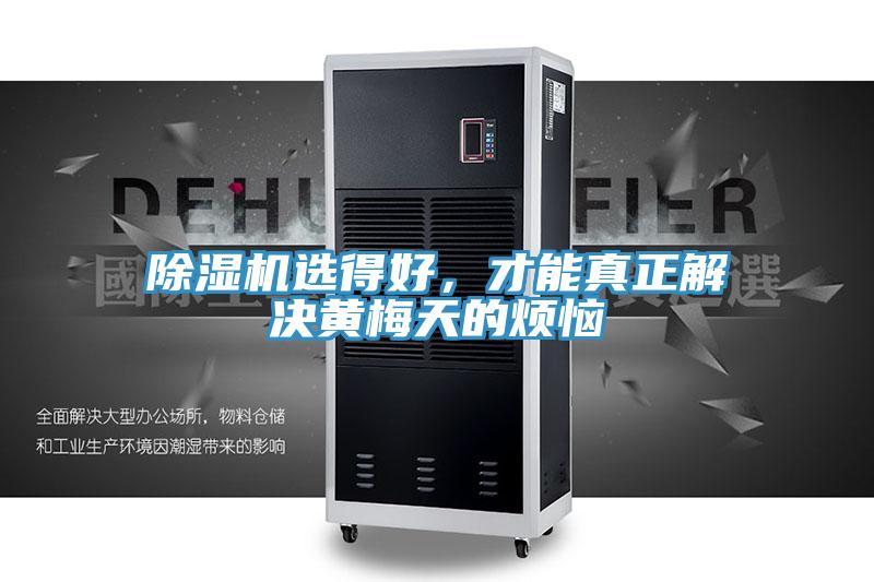 小黄片软件免费下载選得好，才能真正解決黃梅天的煩惱