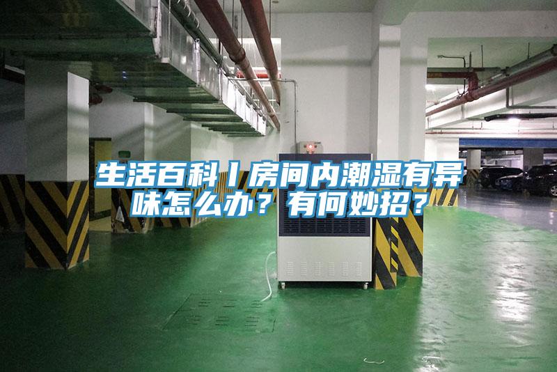 生活百科丨房間內潮濕有異味怎麽辦？有何妙招？