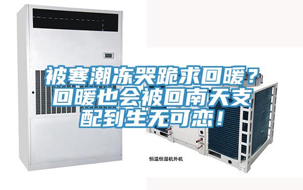 被寒潮凍哭跪求回暖？回暖也會被回南天支配到生無可戀！