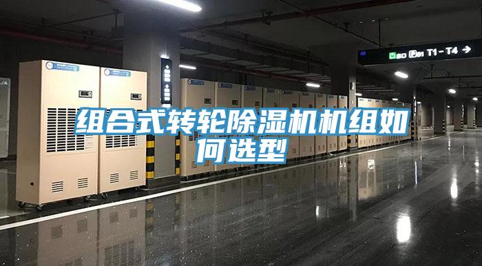 組合式轉輪小黄片软件免费下载機組如何選型