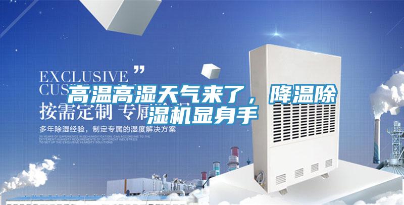 高溫高濕天氣來了,降溫小黄片软件免费下载顯身手