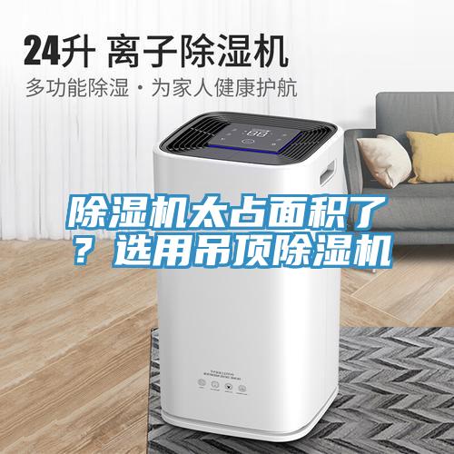 小黄片软件免费下载太占麵積了？選用吊頂小黄片软件免费下载