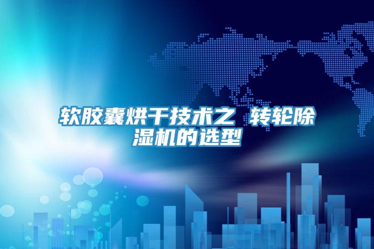 軟膠囊烘幹技術之 轉輪小黄片软件免费下载的選型