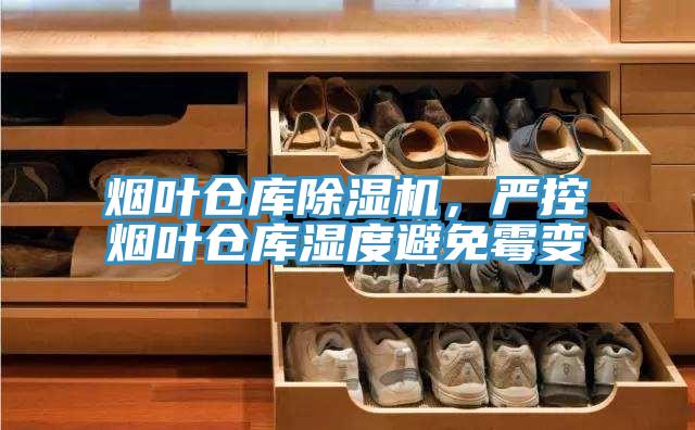 煙葉倉庫小黄片软件免费下载，嚴控煙葉倉庫濕度避免黴變