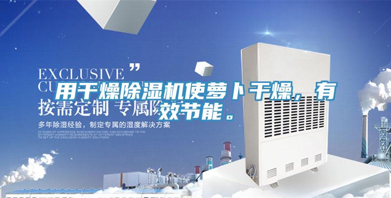 用幹燥小黄片软件免费下载使蘿卜幹燥，有效節能。