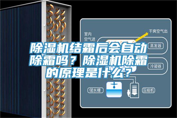 小黄片软件免费下载結霜後會自動除霜嗎？小黄片软件免费下载除霜的原理是什麽？