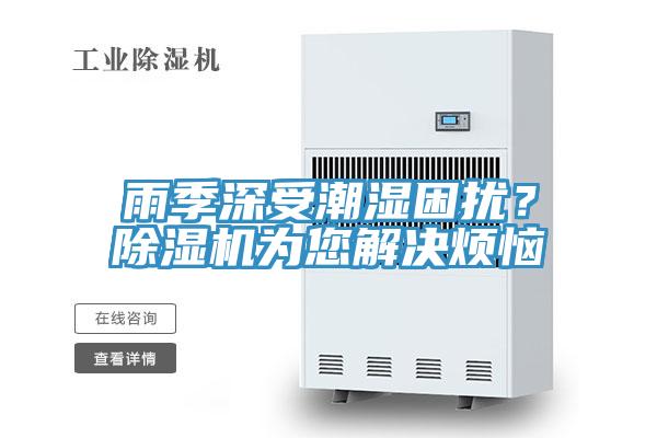 雨季深受潮濕困擾？小黄片软件免费下载為您解決煩惱