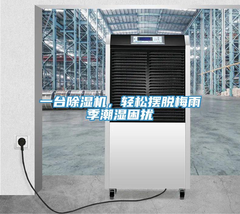 一台小黄片软件免费下载，輕鬆擺脫梅雨季潮濕困擾