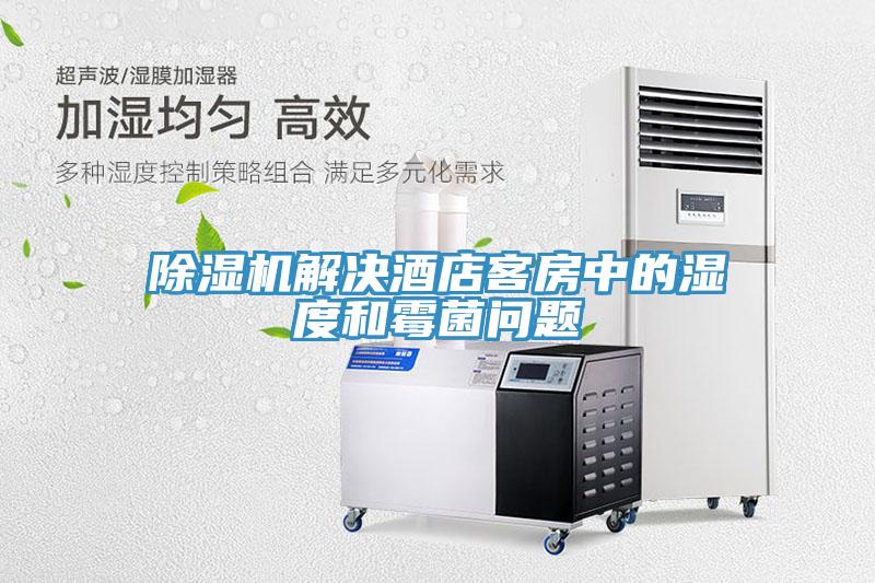 小黄片软件免费下载解決酒店客房中的濕度和黴菌問題