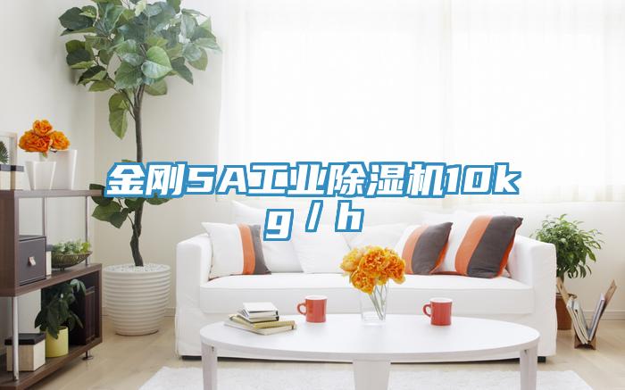 金剛5A工業小黄片软件免费下载10kg／h