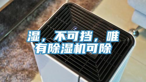 濕，不可擋，唯有小黄片软件免费下载可除