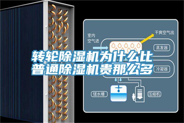轉輪小黄片软件免费下载為什麽比普通小黄片软件免费下载貴那麽多