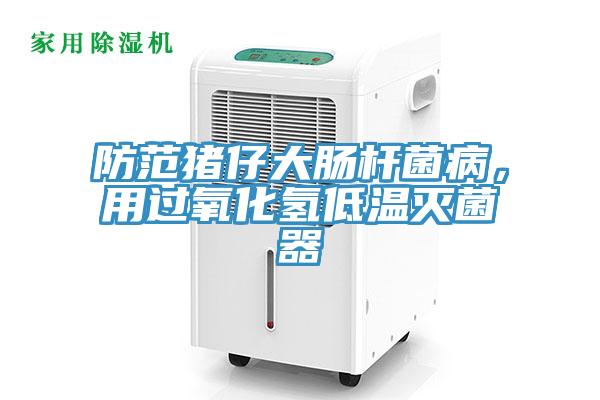 防範豬仔大腸杆菌病，用過氧化氫低溫滅菌器
