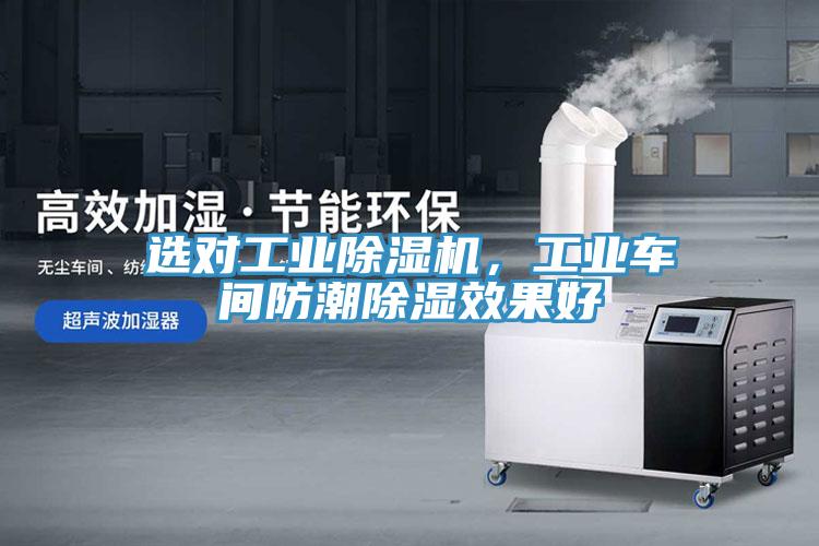 選對工業小黄片软件免费下载，工業車間防潮除濕效果好