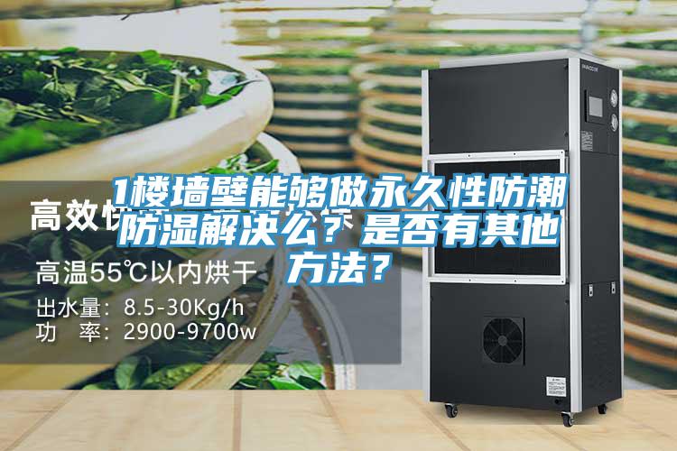 1樓牆壁能夠做永久性防潮防濕解決麽？是否有其他方法？