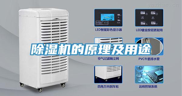 小黄片软件免费下载的原理及用途