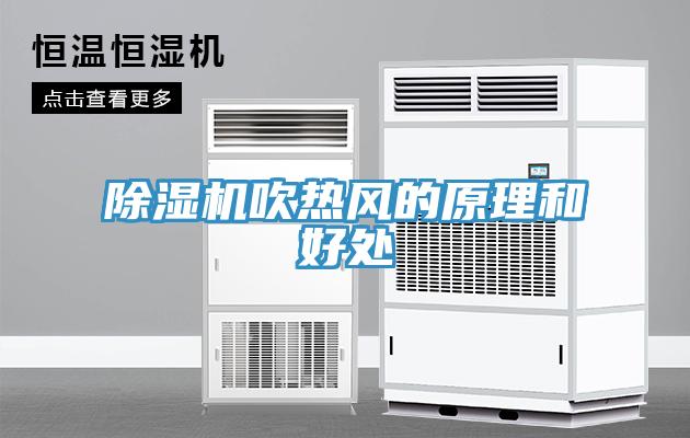 小黄片软件免费下载吹熱風的原理和好處