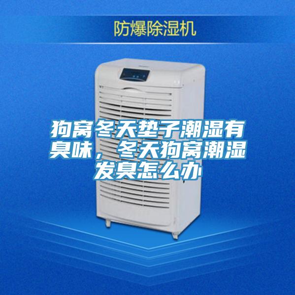 狗窩冬天墊子潮濕有臭味，冬天狗窩潮濕發臭怎麽辦