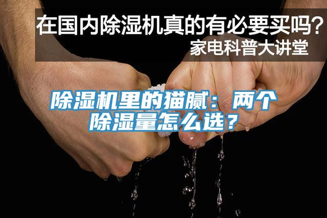 小黄片软件免费下载裏的貓膩：兩個除濕量怎麽選？