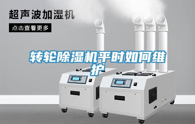 轉輪小黄片软件免费下载平時如何維護