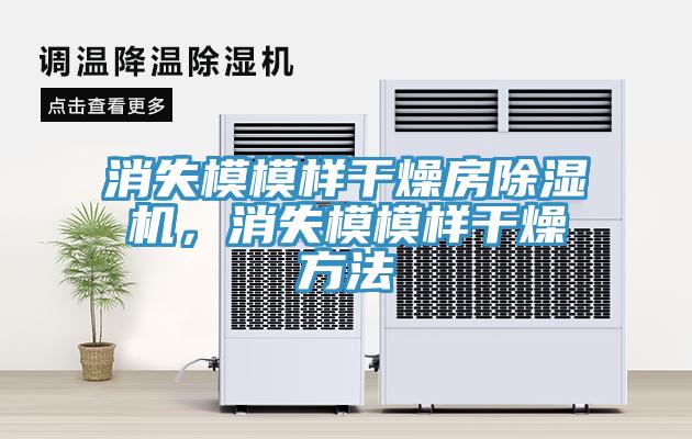 消失模模樣幹燥房小黄片软件免费下载，消失模模樣幹燥方法