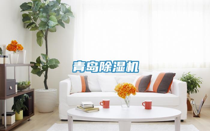 青島小黄片软件免费下载