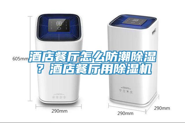酒店餐廳怎麽防潮除濕？酒店餐廳用小黄片软件免费下载