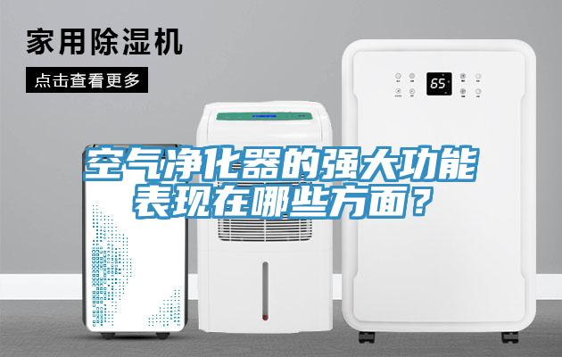 空氣淨化器的強大功能表現在哪些方麵？