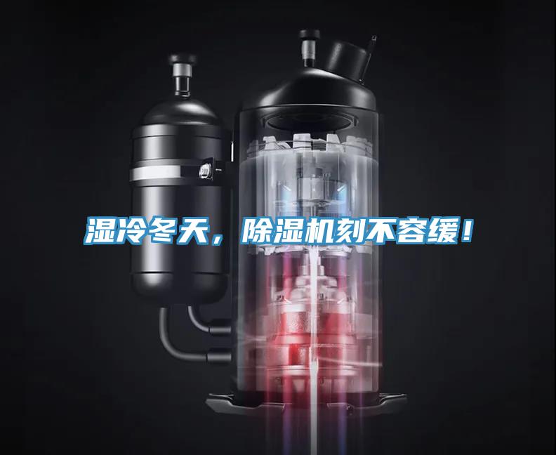 濕冷冬天，小黄片软件免费下载刻不容緩！