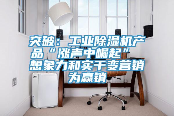 突破：工業小黄片软件免费下载產品“漲聲中崛起” 想象力和實幹變營銷為贏銷