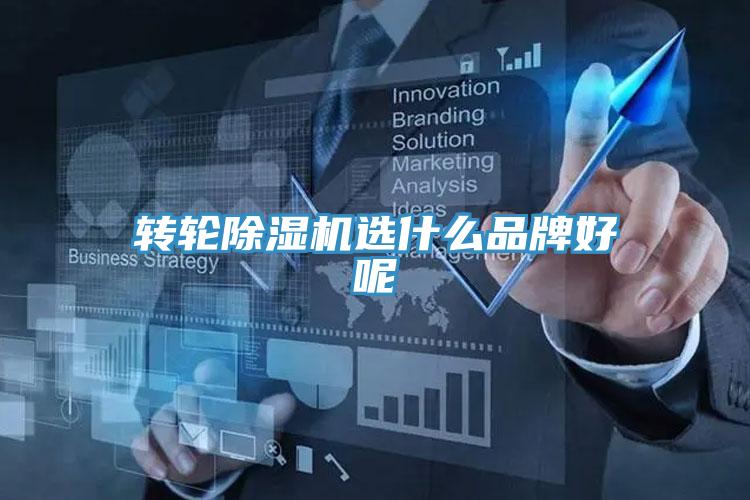 轉輪小黄片软件免费下载選什麽品牌好呢