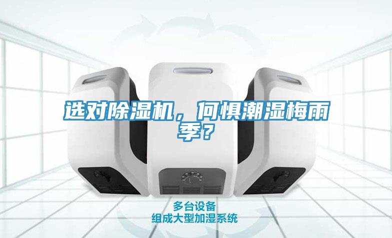 選對小黄片软件免费下载，何懼潮濕梅雨季？