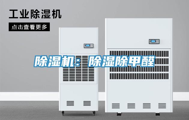 小黄片软件免费下载：除濕除甲醛